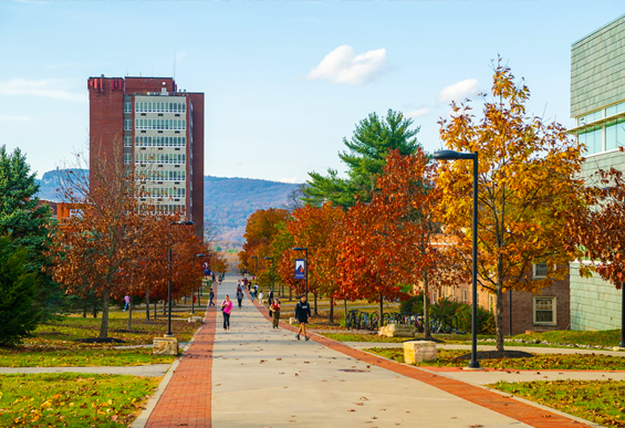 Schedule a Fall Visit